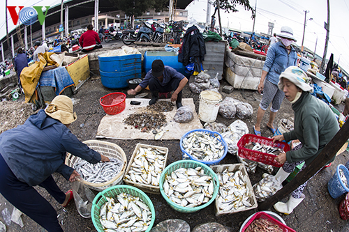 Bustling fisheries market in Spring